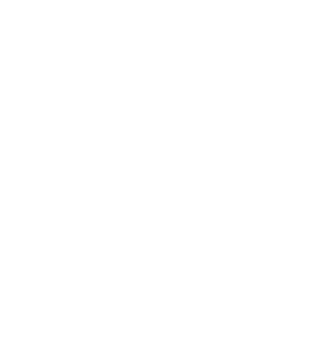 PETROL PUNX